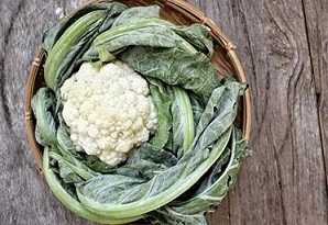 تصویر 2 از خرید و قیمت گل کلم گلخانه ای + فروش عمده